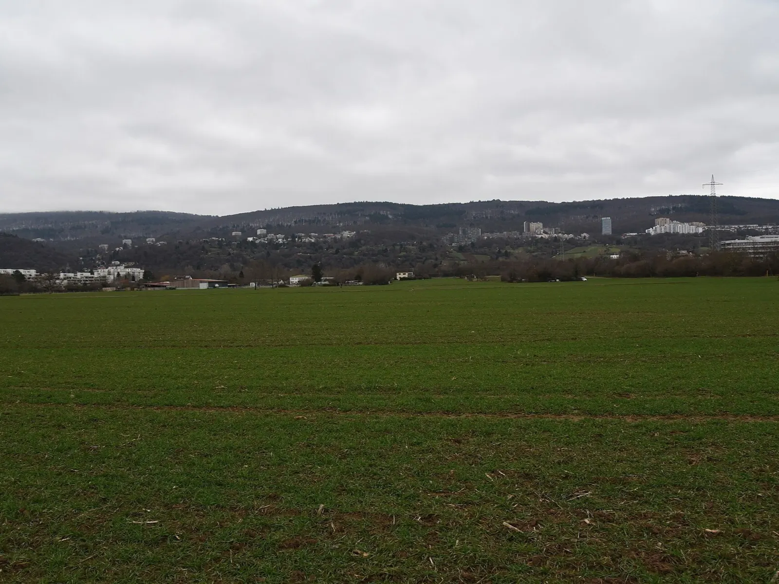 Blick über Felder auf Boxberg und Emmertsgrund am Hang über Heidelberg