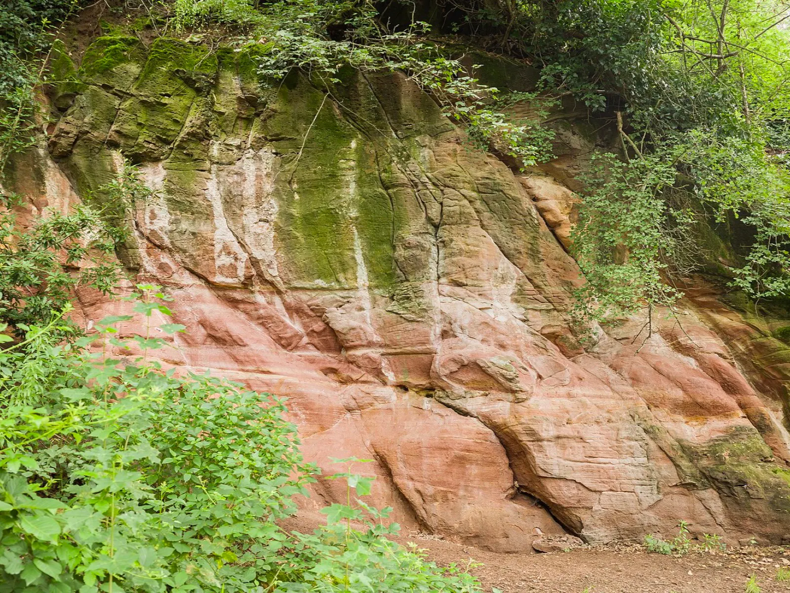 Sandsteinfelsen am Oberen Philosophenweg in Heidelberg