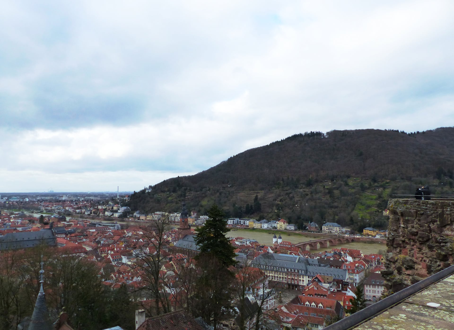 Blick über das Neckartal rund um Heidelberg