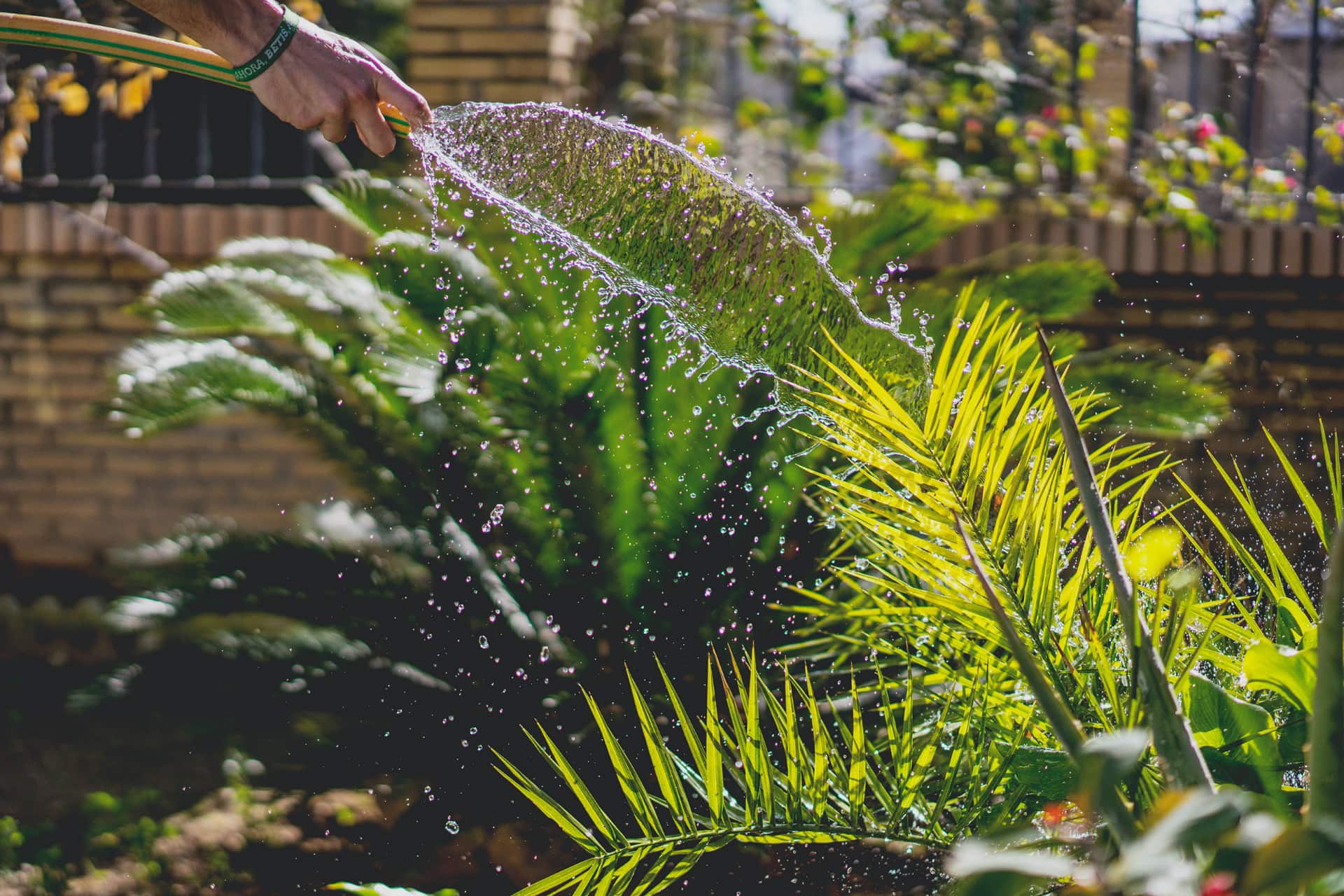 Horticulturist and gardening in Heidelberg