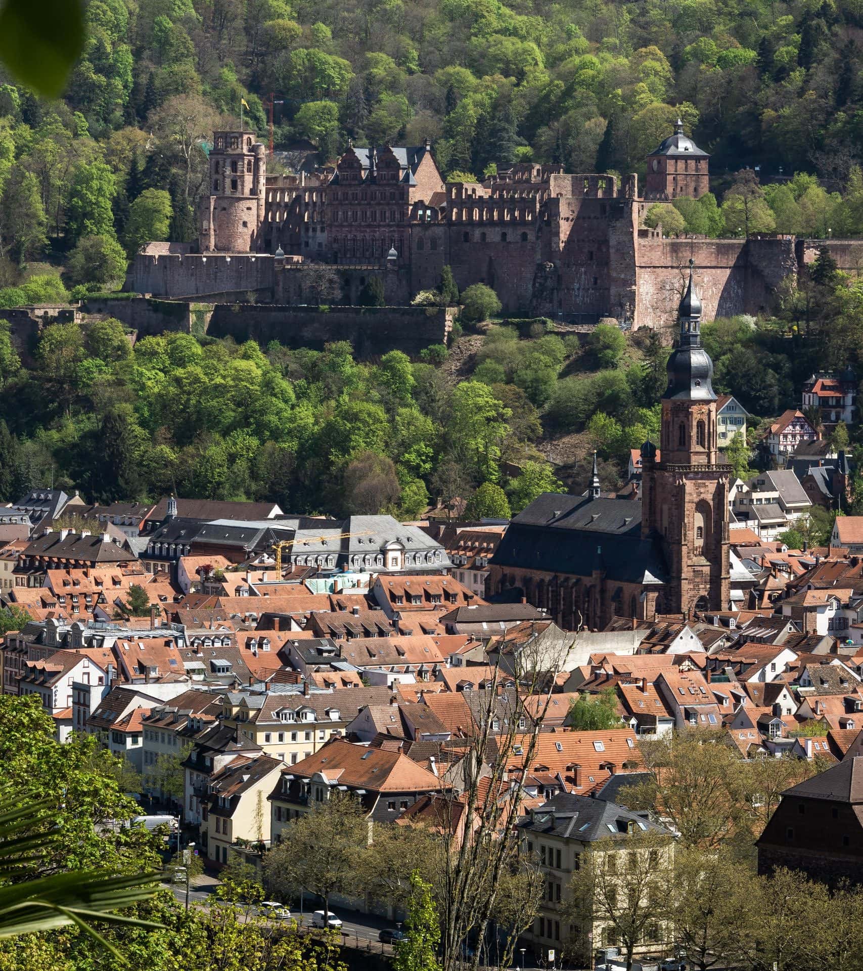 Philosophenweg Heidelberg: Aufstieg, beste Aussicht & Fotospots