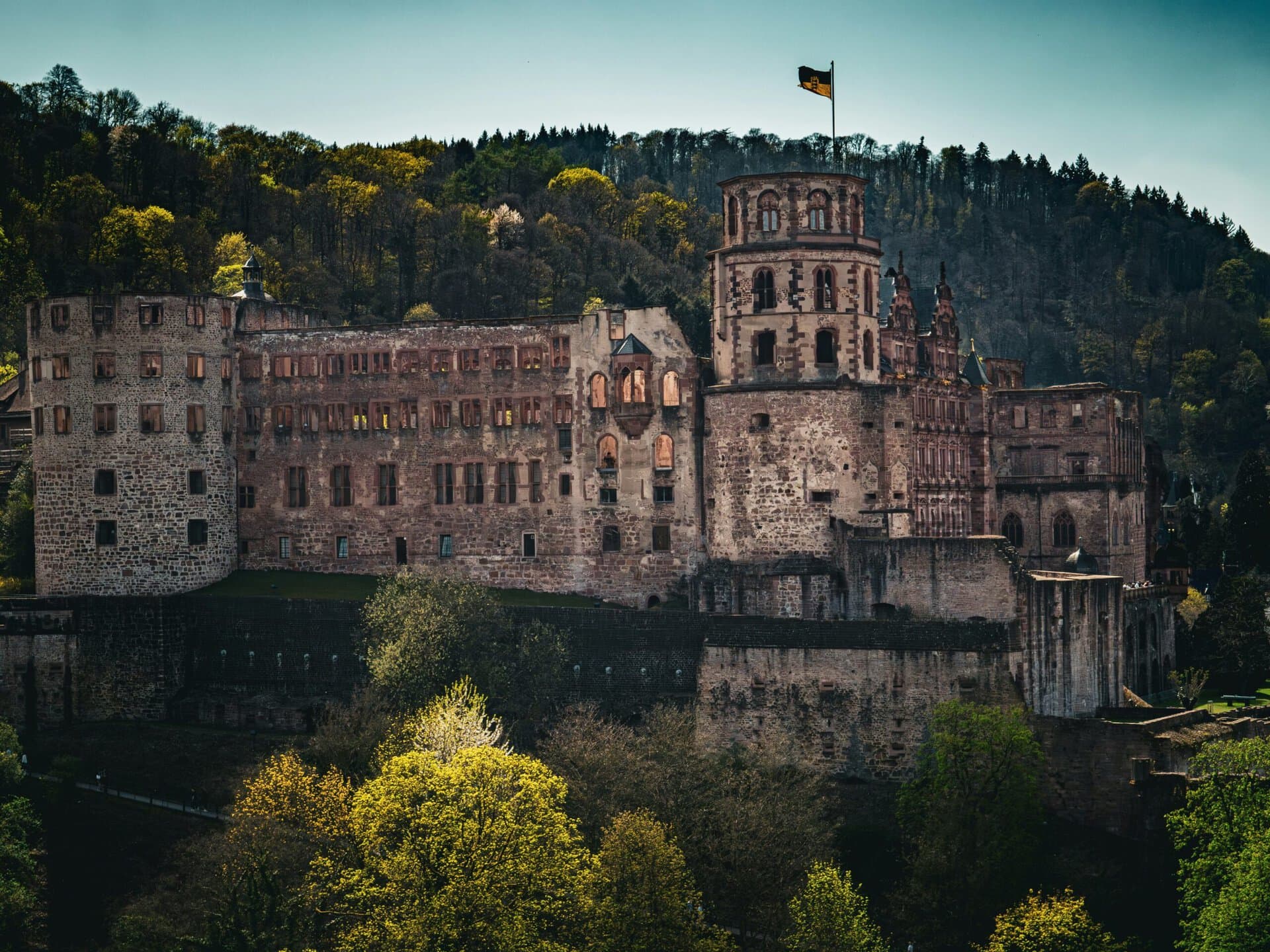 Heidelberger Schloss über den Baumkronen