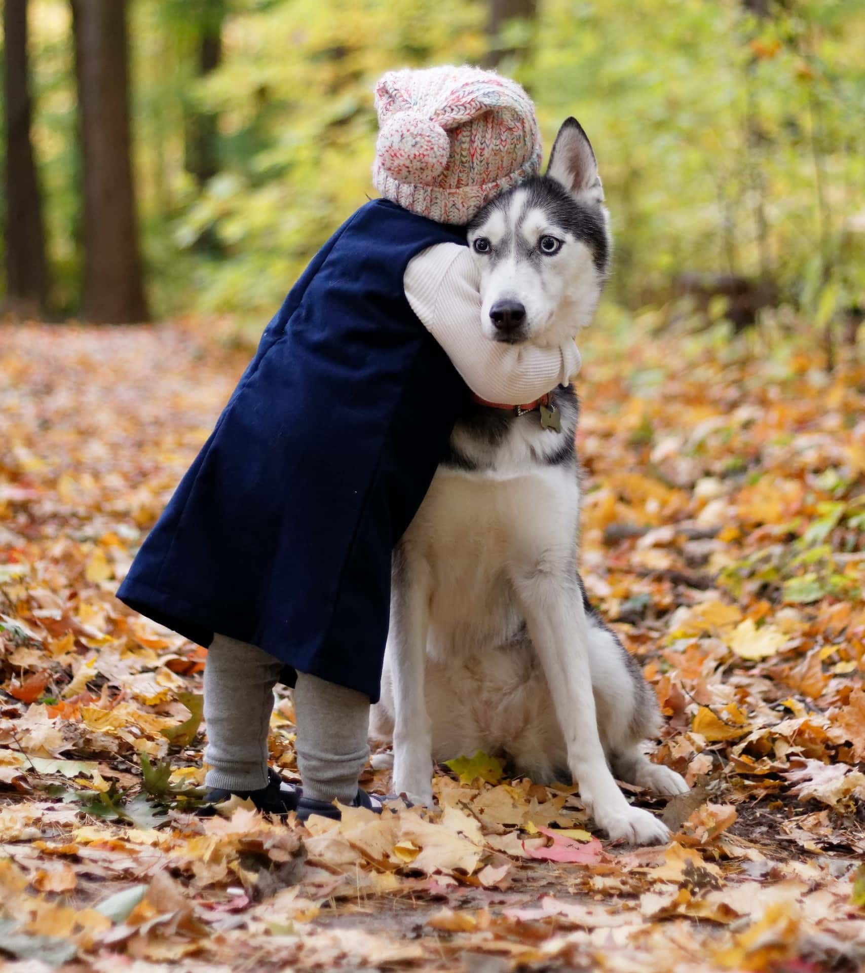 Hundetraining mit Kindern in Heidelberg