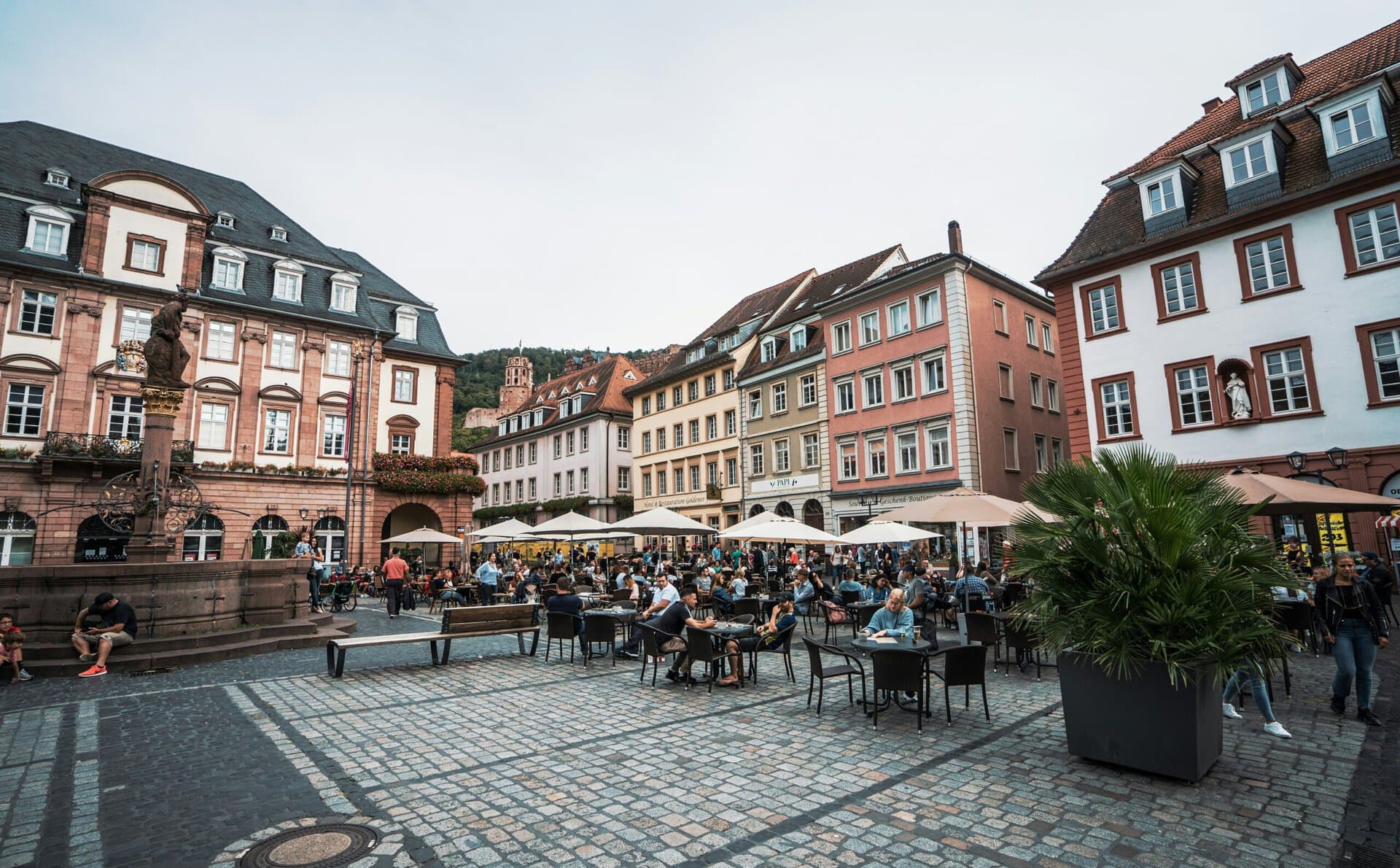 Malerische Fachwerk-Architektur und Kopfsteinpflaster in Heidelbergs Zentrum
